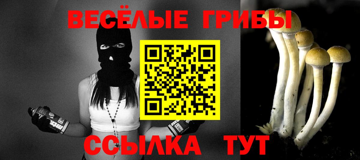купить наркотики цена  Вход с VPN  Йошкар-Ола  Галлюциногенные грибы Psilocybine cubensis  Галлюциногенные грибы Cubensis 