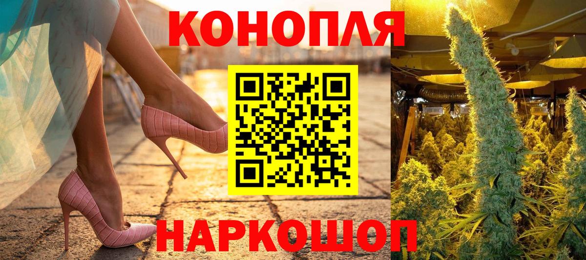 Бошки марихуана планчик  Вход с VPN  Йошкар-Ола  Бошки марихуана тримм 
